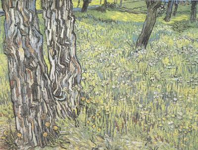 Pine Trees and Dandelions in the Garden of Saint-Paul Hospital (nn04), Vincent Van Gogh